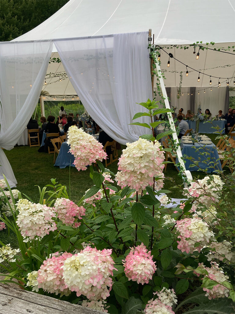 Flower Arrangements Flower Arrangements